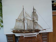 vele ????-albatros-2008-10-26a.jpg
