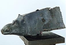 NAVE ETRUSCA del V-IV sec. a. C.-rostro-testa-di-cinghiale.jpg