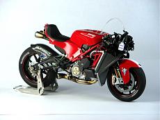 Zed Red's gallery-img_7664.jpg