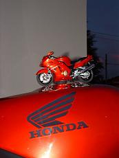 masxx-s-gallery-cbr_su_serbatoio_b.jpg
Visite: 0
Dimensione:  74.6 KB
ID: 6646