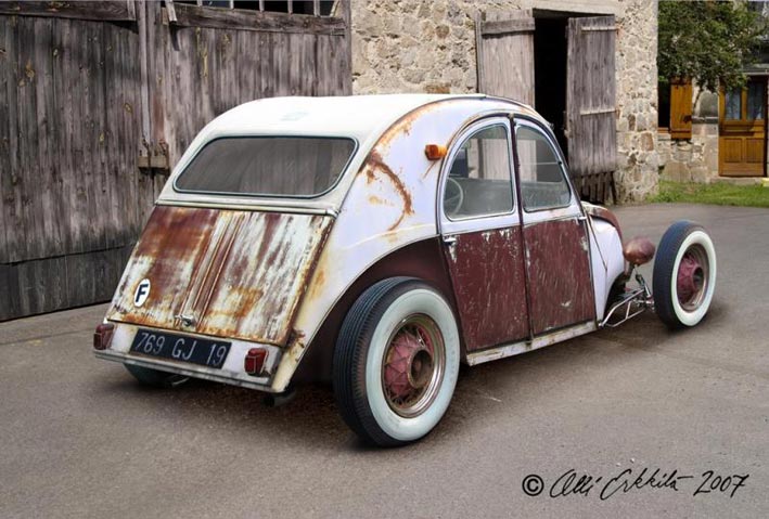 rusty rusty rat rod beetle 