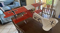 FOKKER DVll-img_6279.jpg