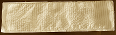 Alberatura e velatura-trevo-copia.png