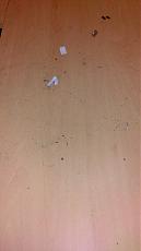 Elettrificando.. B8rs lavori in corso!-uploadfromtaptalk1349983296551.jpg