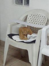 Mi � arrivato un pacco...-uploadfromtaptalk1372417041164.jpg