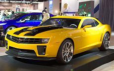 In pista...-bumblebee.jpg