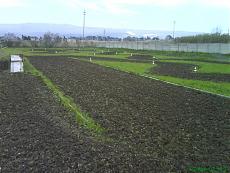 piccolo dubbio......-pista1.jpg