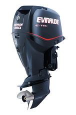 MP 9 : li stavo aspettando.....-evinrude_etec250_blue.jpg