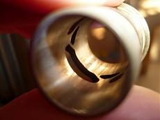 La mia Kyosho mp9... il ritorno...-tgrtg.jpg