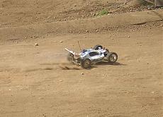 baruccana 1 maggio 2005-mastino1.jpg