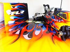 TLR Chameleon-12219476_450303191842936_1411678041180431042_n.jpg