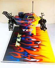 TLR Chameleon-12227633_450303308509591_1830647502357115620_n.jpg