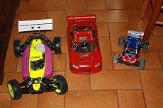 Le mie bestiole-0.jpg