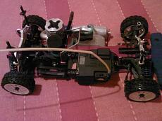 le mie bestioline-foto0749.jpg