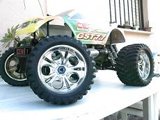 le mie bestioline-foto1026.jpg