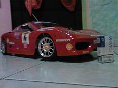 le mie bestioline-foto1040.jpg