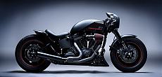 Inspiration Point-custom-harley-night-train.jpg