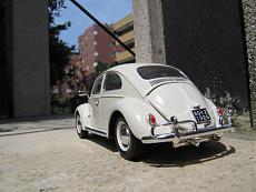 Beetle,Cox,Coccinelle,Kafer,Maggiolino...-img_6501.jpg