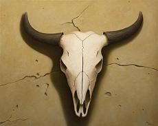 [Group Build] Custom Caf .. Perch siamo fatti cos..-old-buffalo-skull-norman-engel.jpg