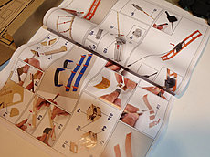 Tram Occre Buenos Aires-tram-buenos-aires-4.jpg