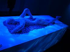 Art of the Brick - Roma-81.jpg