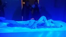 Art of the Brick - Roma-82.jpg