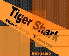 NOVEGRO 2006-logo_team_tiger_shark.jpg