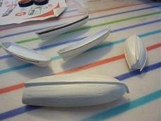 Bellona Corel-p1090423.jpg