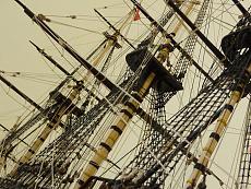 Bellona Corel-p1090587.jpg