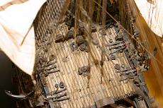 IL mio SOLEIL ROYAL-img_3143.jpg