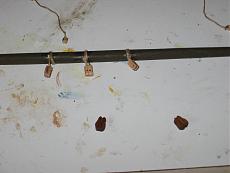 Primo cantiere: Golden Hind da Kit Mamoli-img_7869.jpg