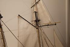 La Jacinthe 1:65-web-800-1822.jpg