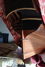 La Belle "ibrida"-img_20231229_143037.jpg