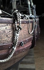 La "piccola" Nia-img_20250911_145803.jpg