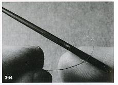 ErPiotta's President-file0083.jpg