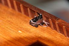 Mayflower (kit artesania latina)-img_4949.jpg