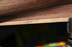 Halve Maen - Half Moon Corel-10.jpg