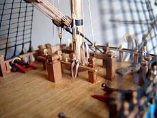 Soleil royal sergal-dsc03241.jpg