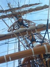 Amerigo Vespucci-10419.jpg