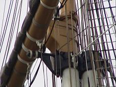 Amerigo Vespucci-10424.jpg