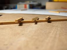 Aurore Negriere  sezione maestra 1:30-hpim1767.jpg