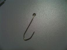 la Paranza del Maurino-96.jpg