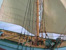 navicello-piede-albero.jpg