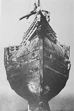Coca Amati-_mg_1866.jpg