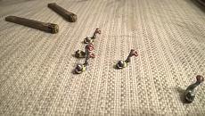 Il mio secondo modello: il Wasa 1:75 Corel-wp_20161016_003.jpg