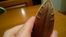 Il mio secondo modello: il Wasa 1:75 Corel-wp_20171127_013.jpg