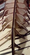 Sciabecco Amati-5.jpg