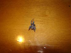 Costruzione Sovereign of the Seas - ModelSpace DeAgostini-dsc04263.jpg