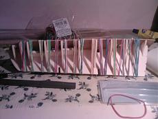 Ranger Corel - Assia-foto0362.jpg