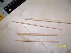 Leida Corel-alberi.jpg